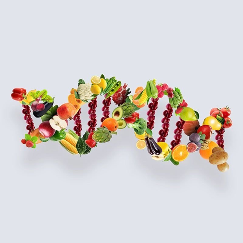  NUTRICIONISTA - MODULAÇÃO EPIGENÉTICA